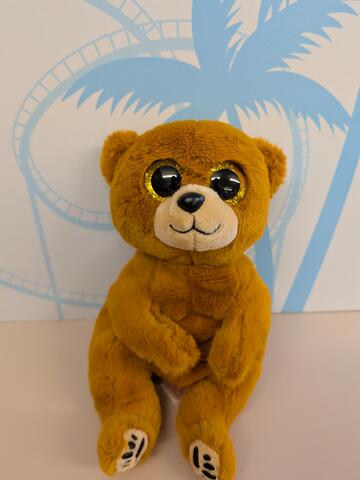 Cali the I-SPIE California Bear