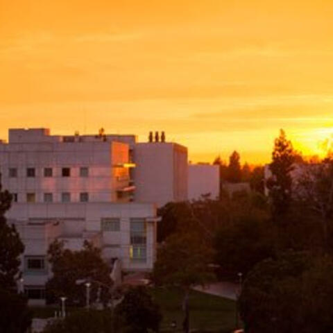 Sunset over the CSUF campus